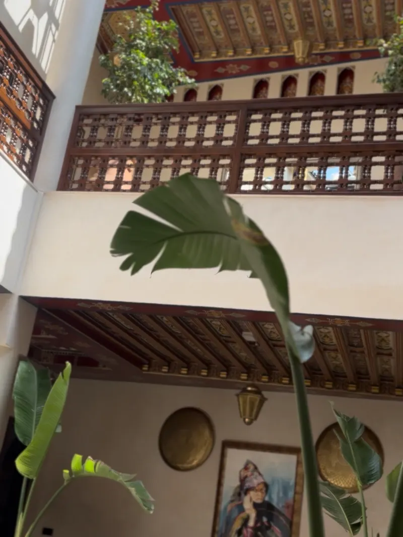 The patio and its plants beneath the galleries